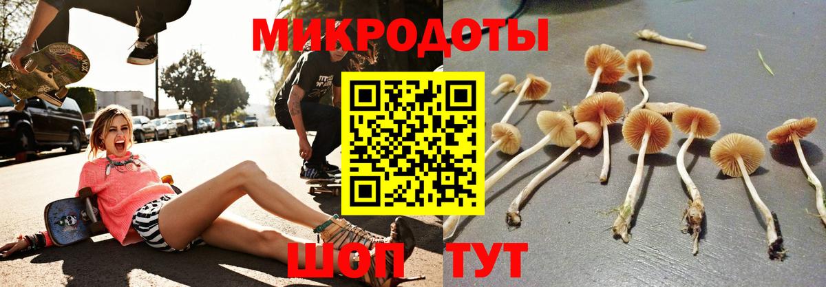 Псилоцибиновые грибы MAGIC MUSHROOMS  Вход с VPN  Богородицк 